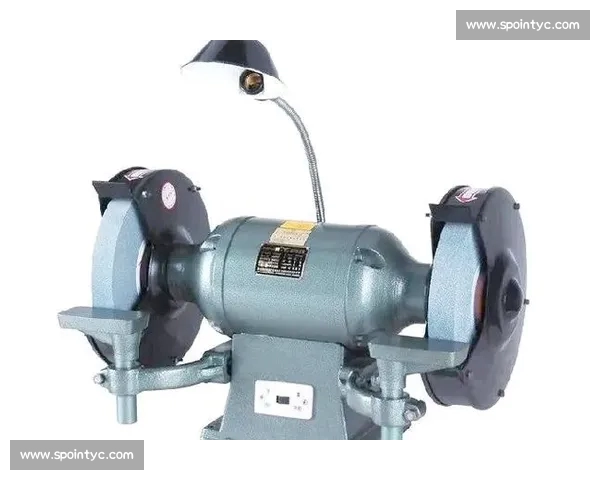 体育分析手机版深度解析赛事数据助力精准观赛与投注技巧全面指南解